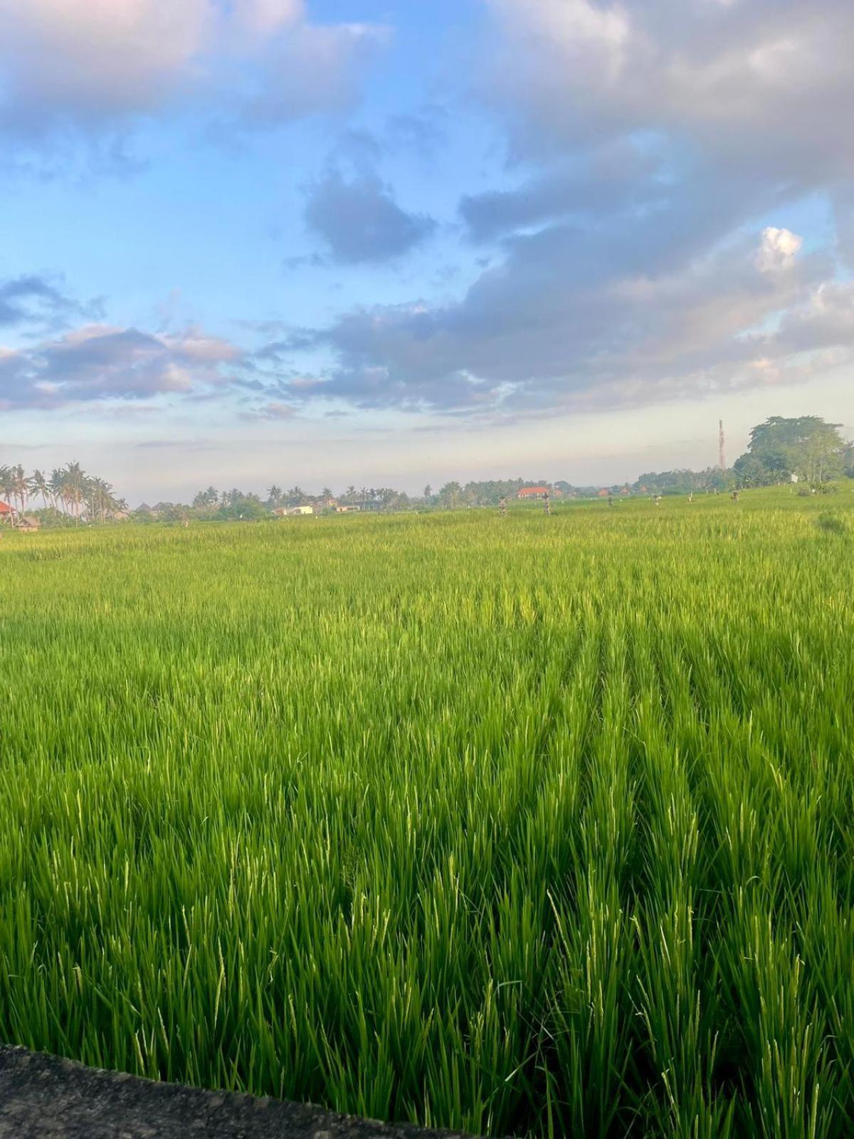 Arbathu Villa Ubud 외부 사진